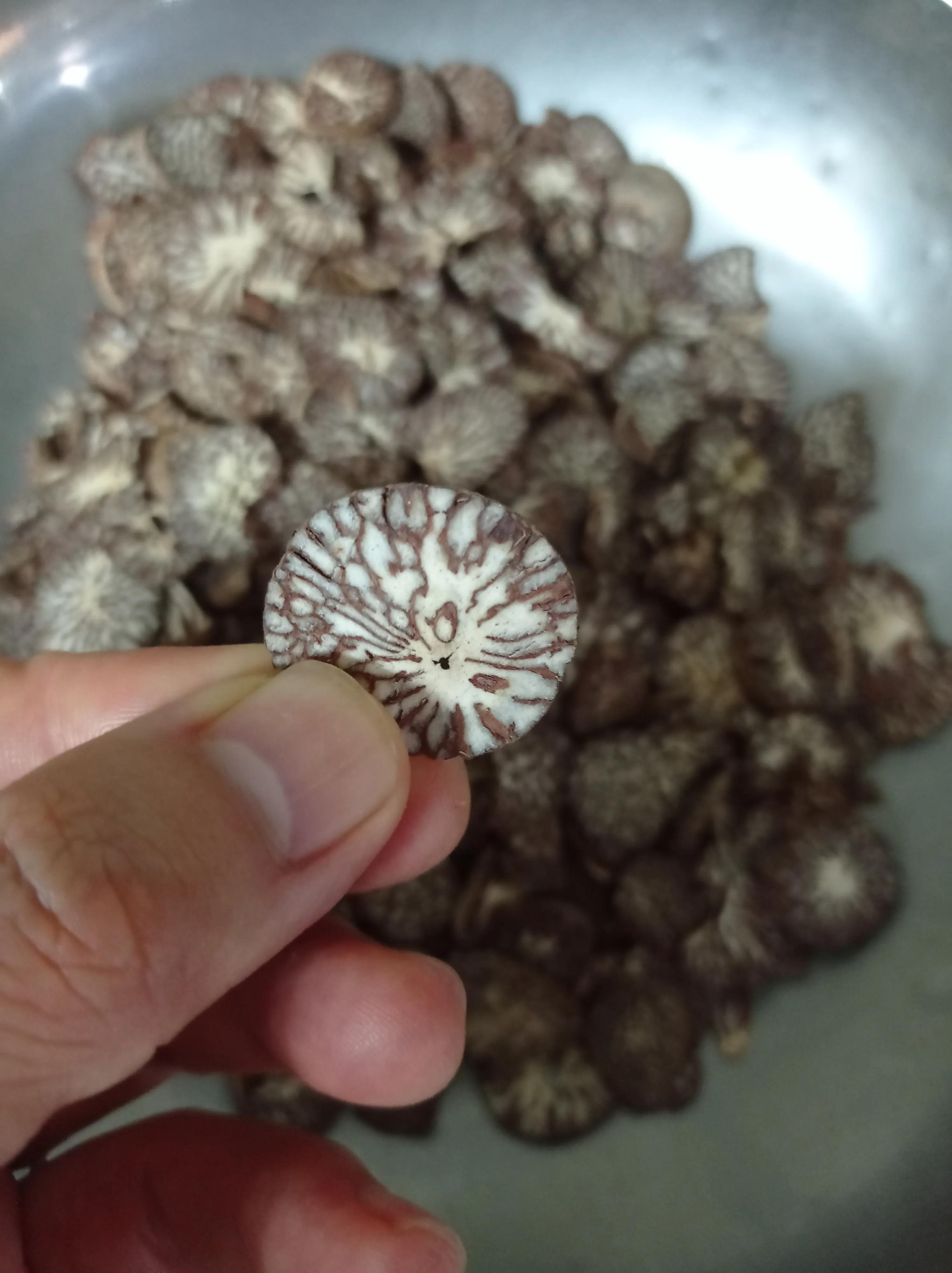 嚼槟榔致癌为什么还有人嚼槟榔,嚼槟榔致癌还是槟榔致癌