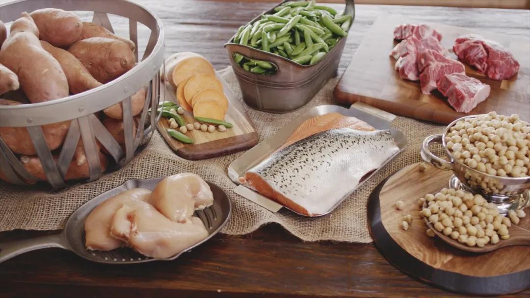 美国宠粮卡比主推鲜肉涂层高端新品,发力国内市场