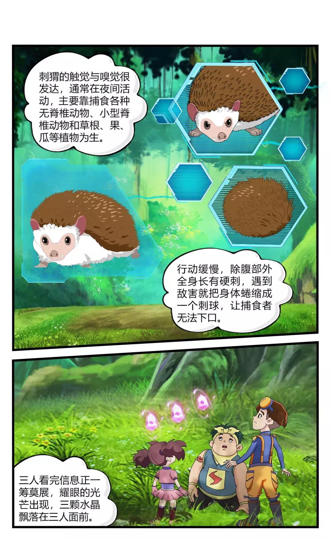 刺猬不会咬人它唯一的防御方式,刺猬如何防御天敌