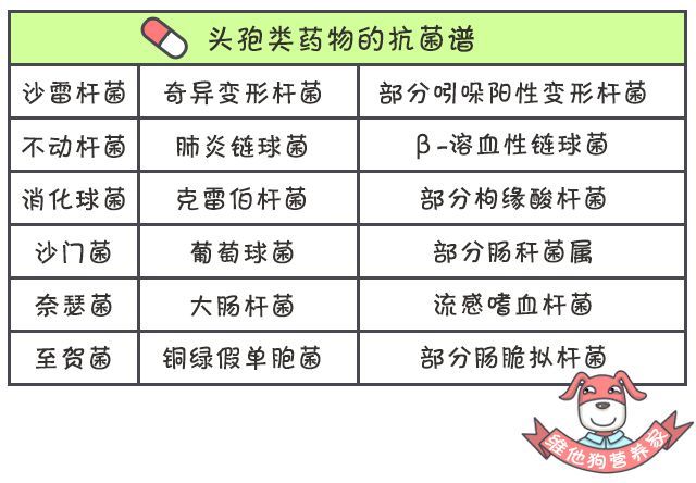 抗生素什么时候服用最好,抗生素什么时候起效果