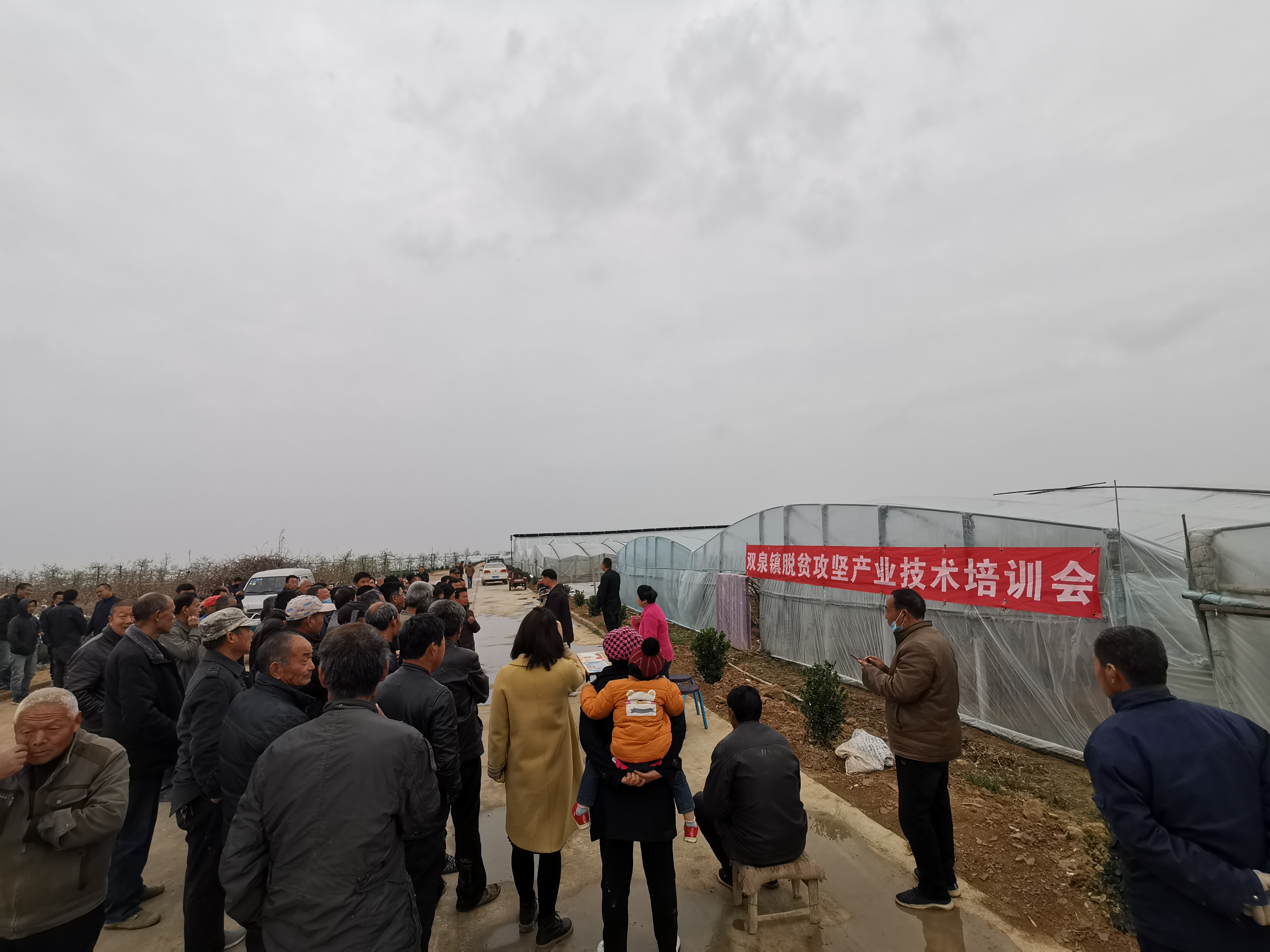 渭南大荔县大风,大荔大风农民自救