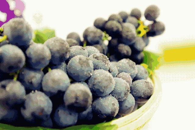 来仙海除了能把照片和记忆带回家，还有这些旅游商品任你挑