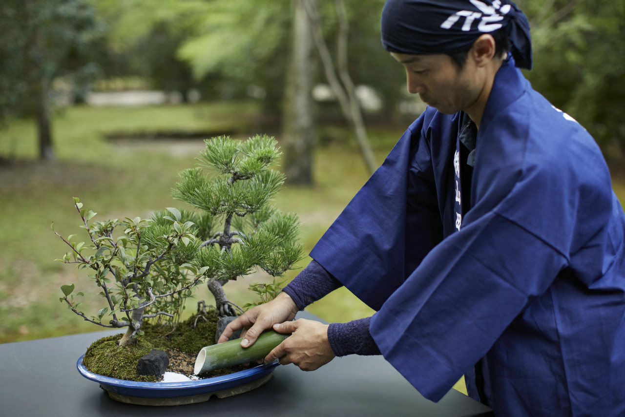 京都安缦多少钱,京都柏悦跟安缦