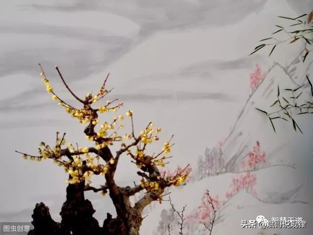 陈雄斌:做到这9点,你就能修炼成仙