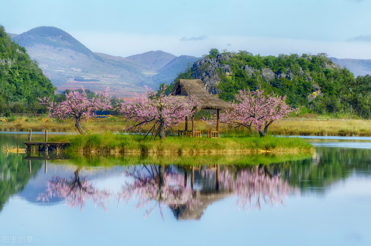 白浅说离镜终其一生都在追寻,白浅骂离镜和玄女天生一对