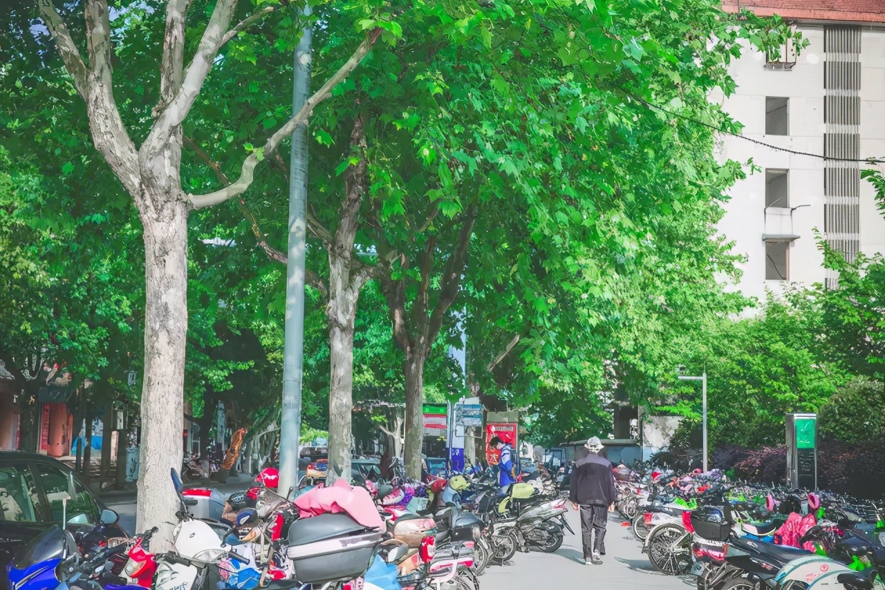 芜湖二中老校区,芜湖二中校区最新消息