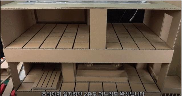 身价300万的仓鼠外网走红！住3层电梯豪宅，丰富娱乐，人不如鼠啊