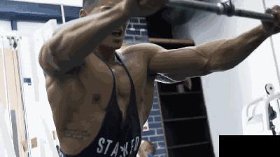 如何更有效的训练背部肌肉,背部训练动作以及练的位置讲解