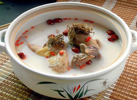 鸽子汤营养价值和功效与作用,鸽子汤的营养价值及功效禁忌