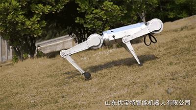 1万8元秋田犬出售,最新一代机器狗