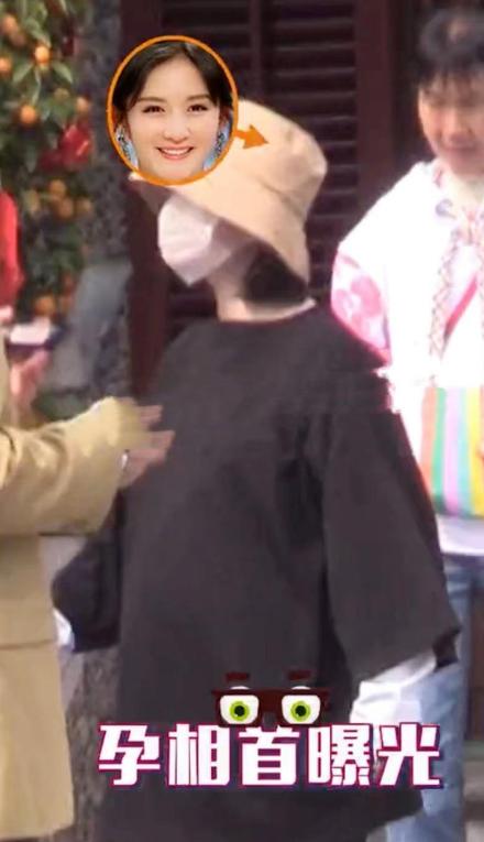 谢娜挺孕肚图片,谢娜孕肚写真曝光