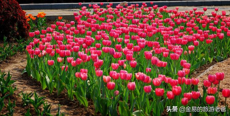 保定之前是不是河北的省会,保定与石家庄当年的省会之争