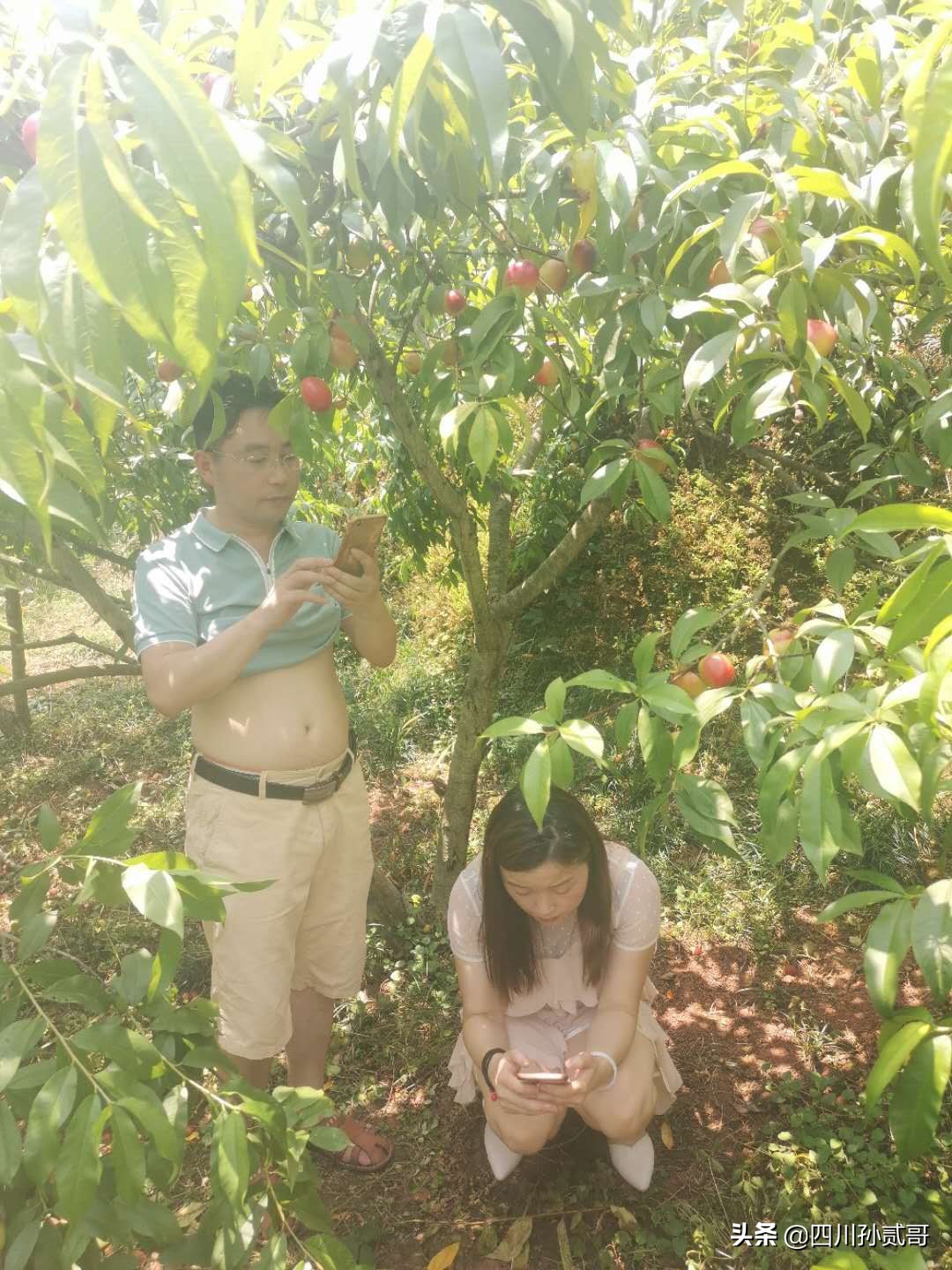 老村长农村电商,老村长农副产品直播间