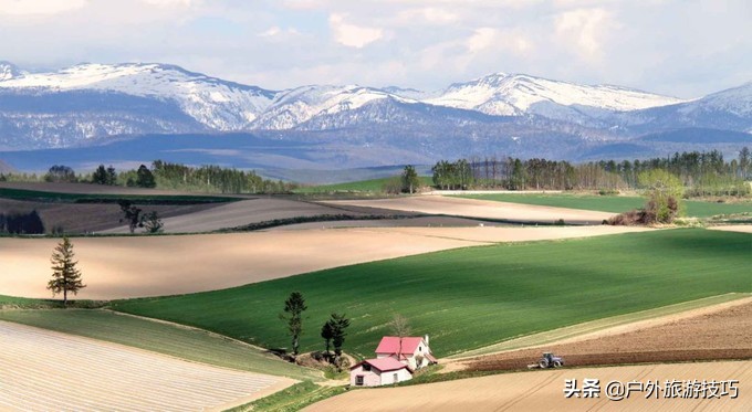 富良野一日游经典路线,日本北海道富良花海