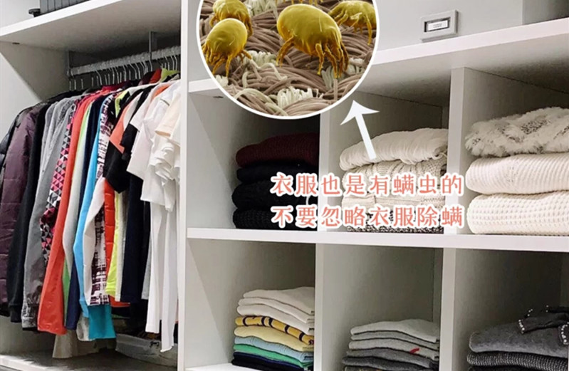 什么除螨效果最好最快又便宜,除螨剂真的能除螨吗