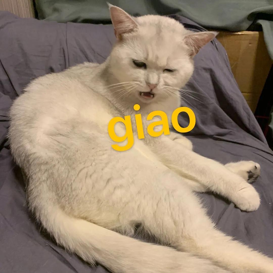 qq登录的微信可以改微信号吗,刚注册的微信能改微信号吗