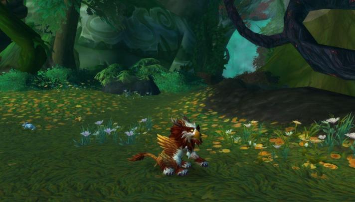 魔兽世界9.25野德pvp天赋,魔兽世界9.1野德pvp天赋