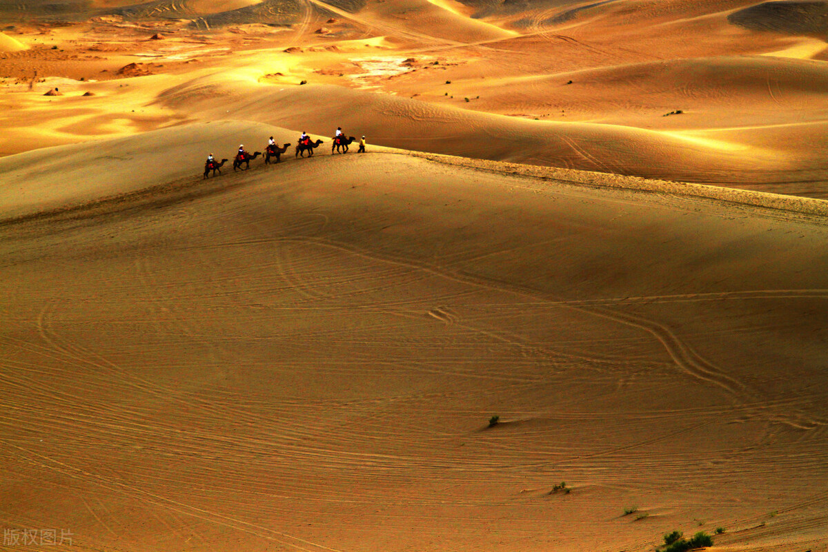 国内最经典12条自驾游线路,国内十大自驾游线路推荐