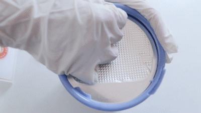 伊利金领冠菁护奶粉的优点缺点,伊利金领冠睿护草饲奶粉