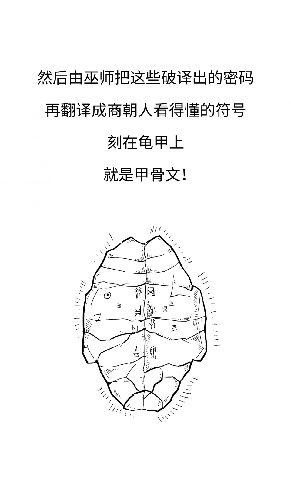 甲骨文解读商朝历史,文字的演变和甲骨文的出现