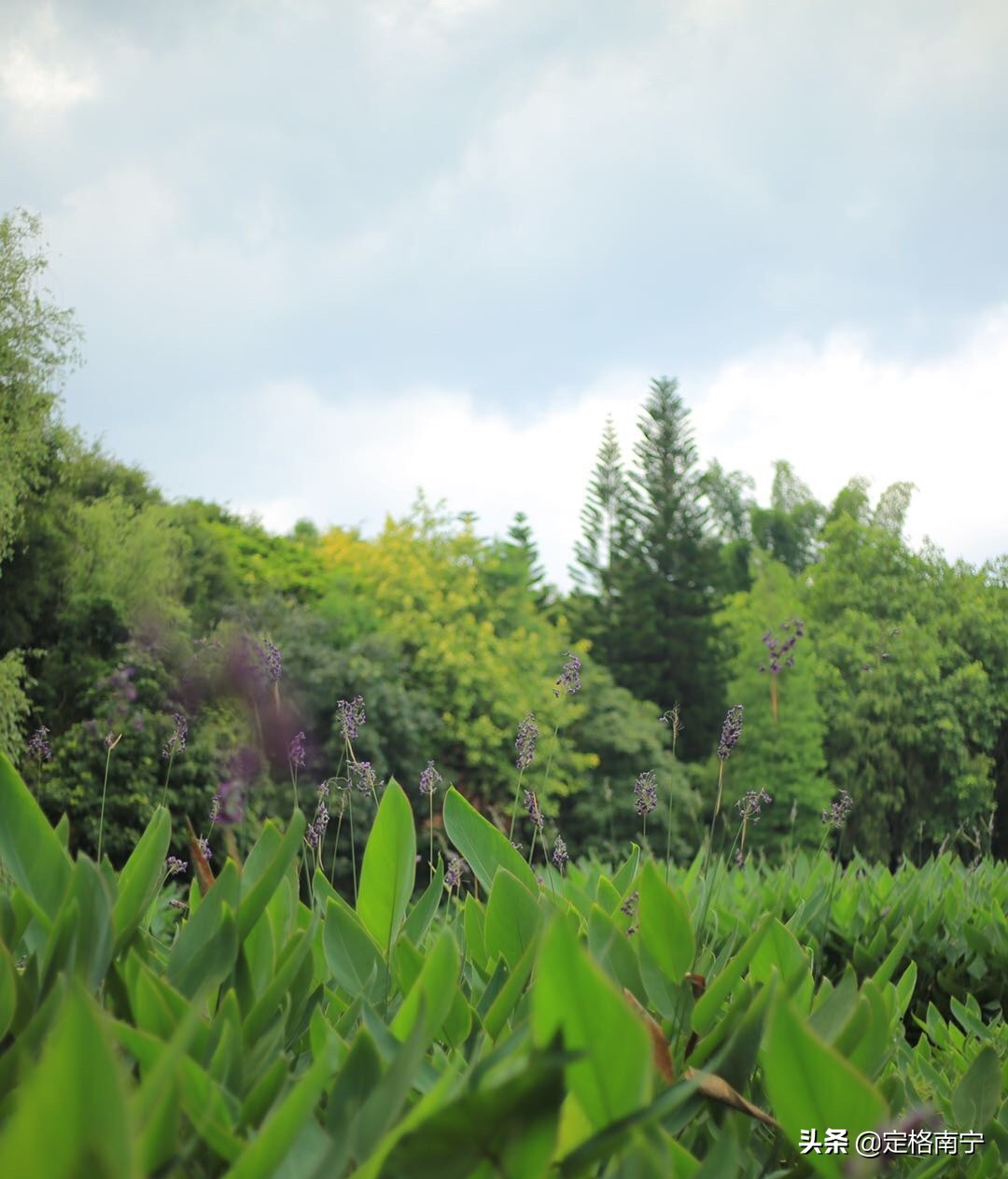 南宁狮山公园晚上开放时间,南宁狮山公园近期有什么玩