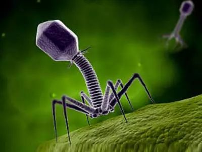 20岁姑娘说自己没有男朋友却得了尖锐湿疣