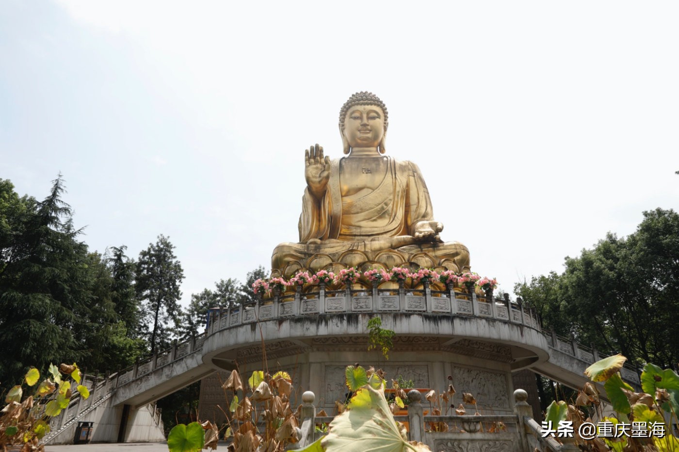 探寻九龙天棺,探索九龙游