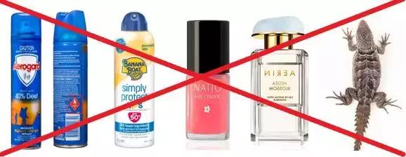 出国游时一定要知道这些禁忌,出国海关购物注意事项