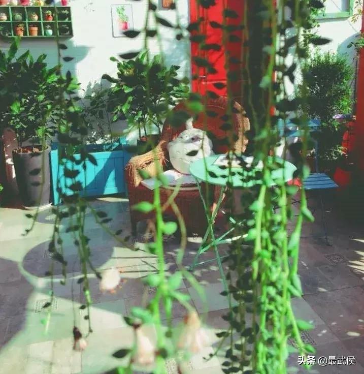 成都周边温泉民宿带私人泡池,美哭了藏在小渔村里的宝藏民宿