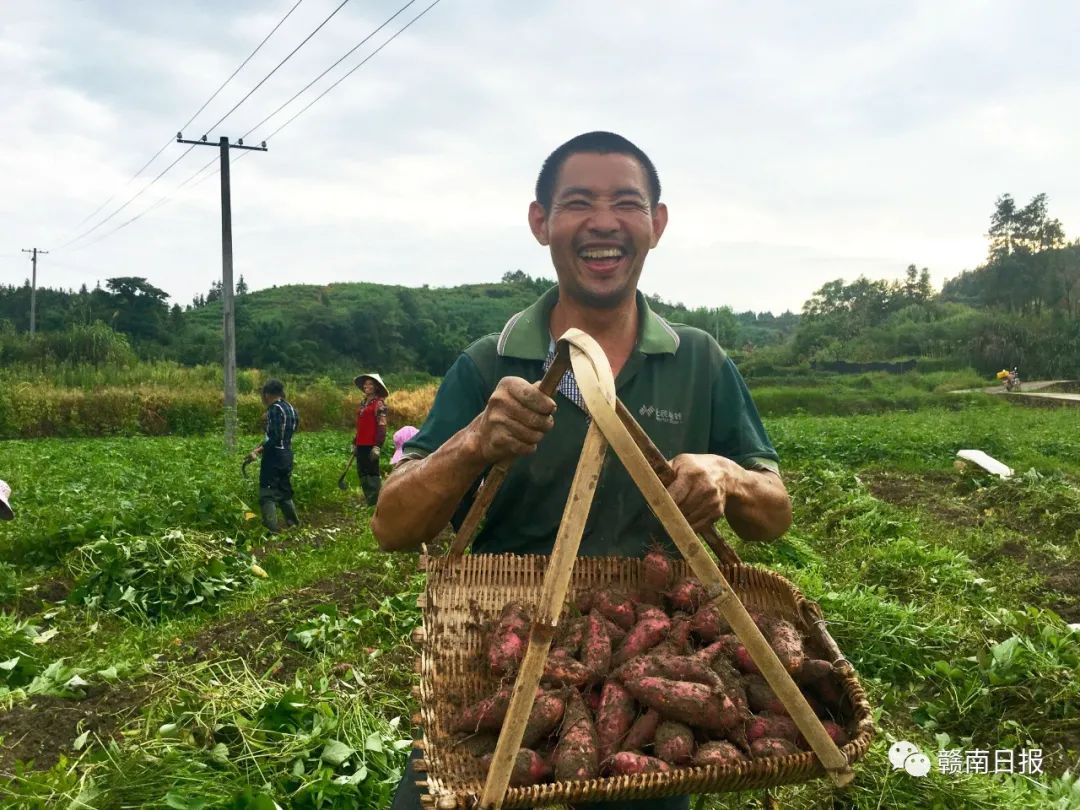 赣州市一批集体和个人获全省表彰,赣州举行表彰大会