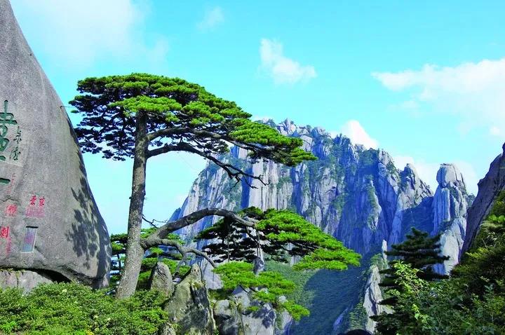 秋风乍起，黄山风景区又会带来怎样的精彩？