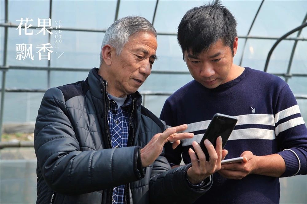 从15万*款贷**到15亿产值，一位基层农技员是如何撬动一方产业？