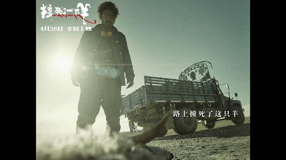 王家卫《繁花》仍在拍摄中,繁花和王家卫之前作品的对比