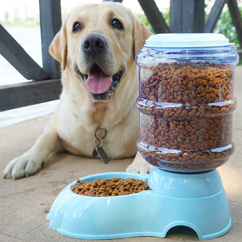 金毛犬专用冻干狗粮,金毛犬狗粮有推荐吗