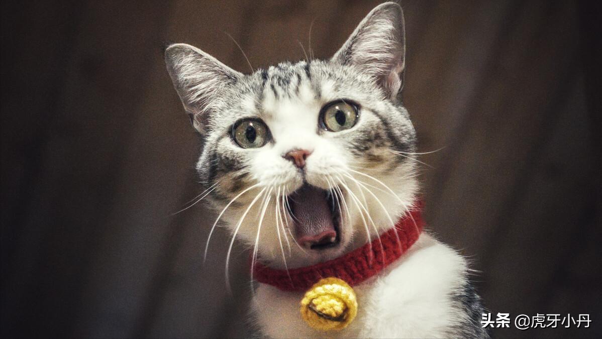 *疆新**女孩在陕西渭南蒲城生活了3年多，最大的感受是什么？