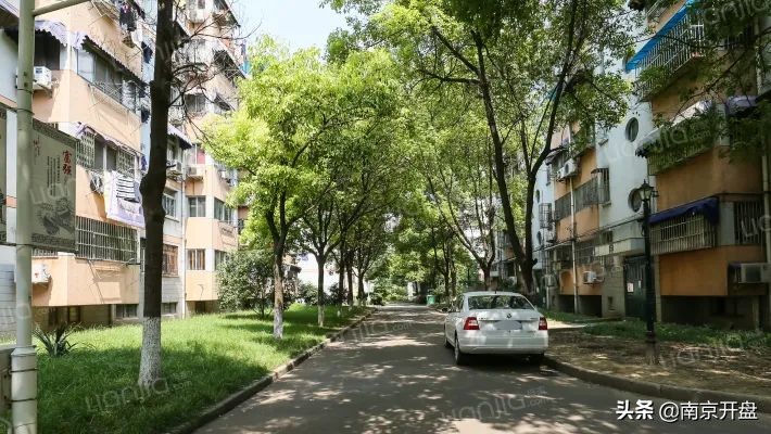 最新南京30所名校学区房价,南京市房价跌得最多的学区房