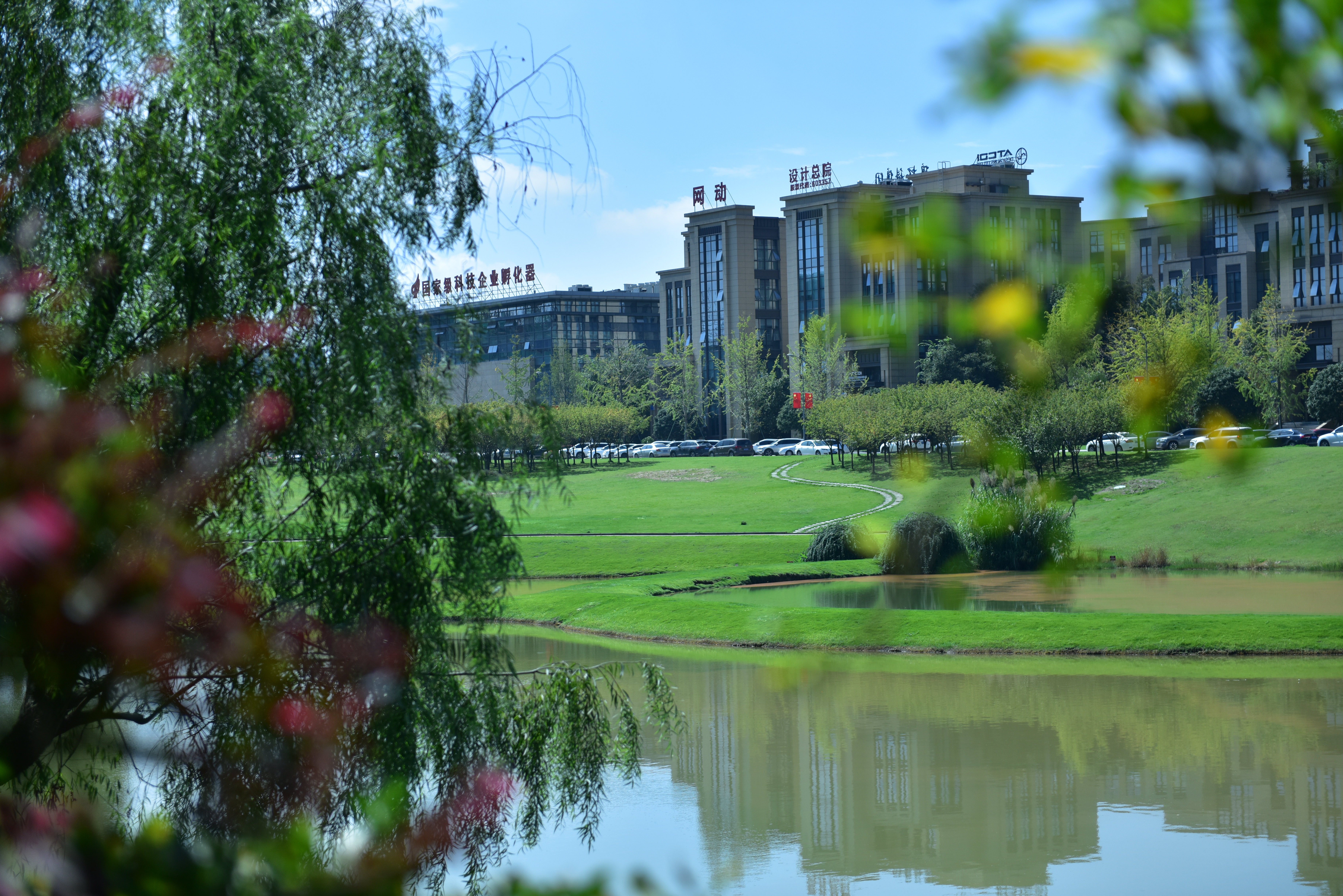 双流区未来发展潜力,双流区经济发展全国排名