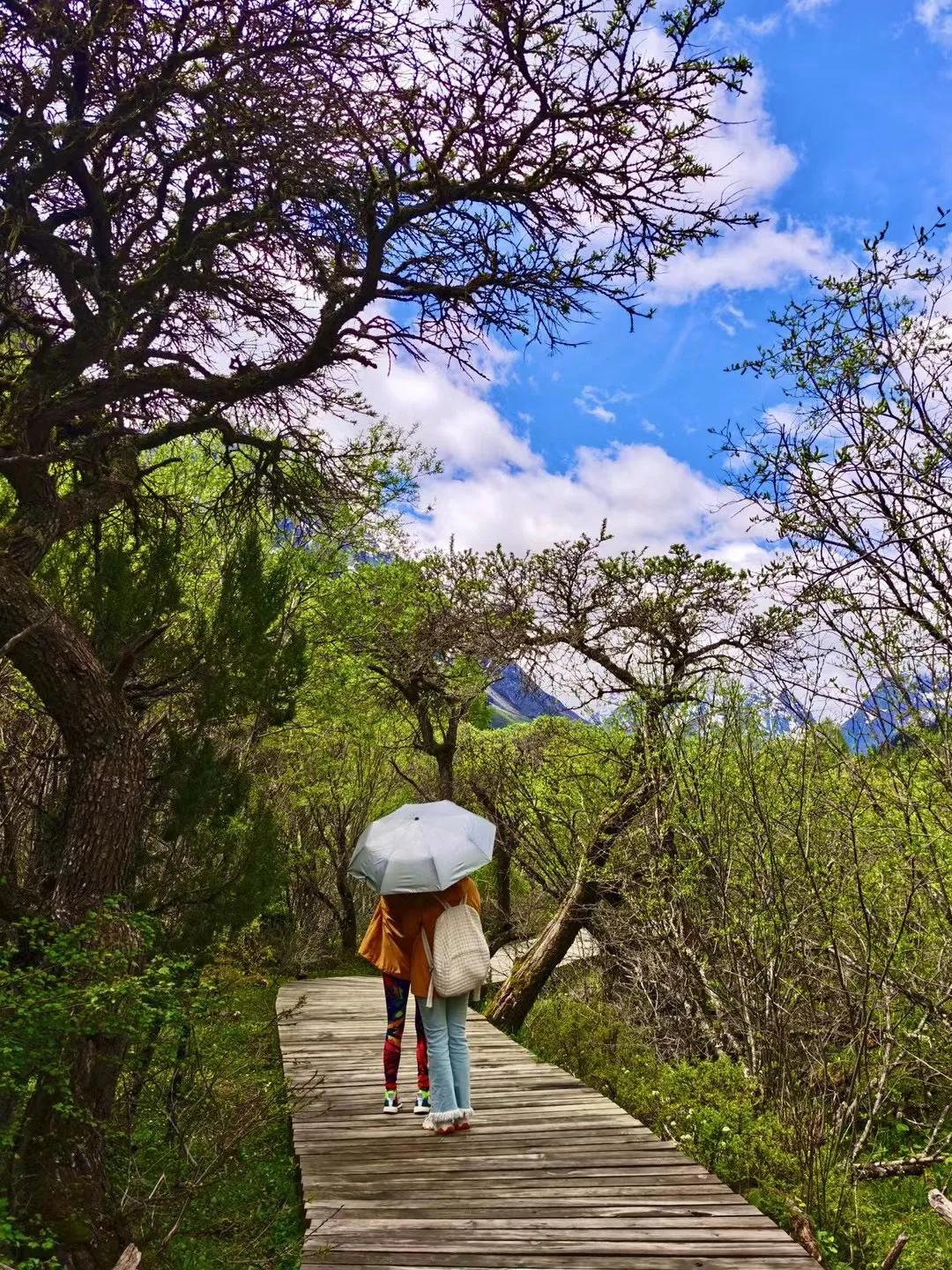 川西自驾游四姑娘山5月底,川西行第一集两岁挑战四姑娘山