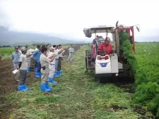 日本农业十大经典精髓,日本农业值得研究的点