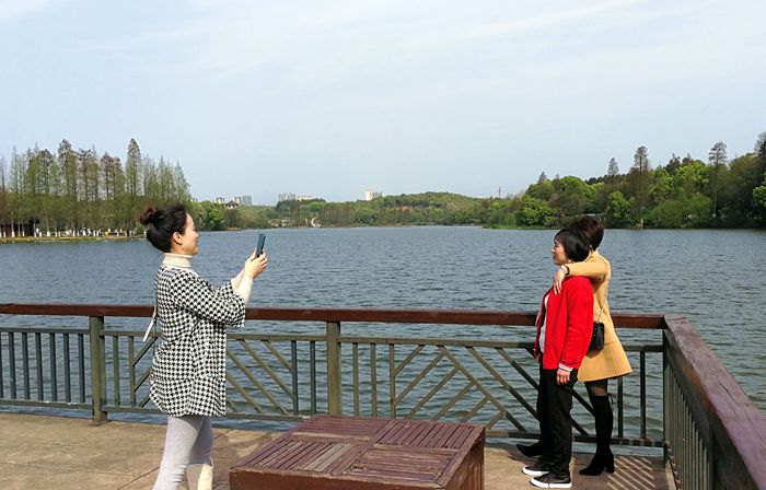 美丽的南湖公园夜景,南湖风景区真的太美了