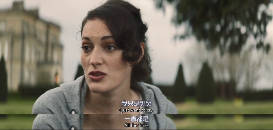 烂番茄指数90以上的欧美剧,烂番茄评分新剧