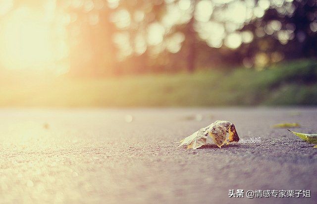 情感咨询｜栗子姐每日情感问答（0306）