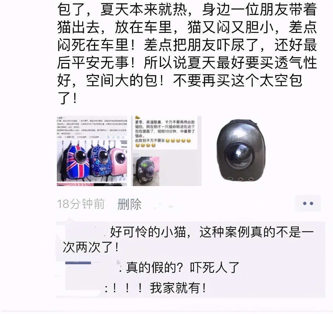 猫咪最适合哪种猫包,透明猫包对猫咪有哪些不好