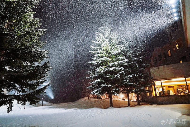 日本东京一日游攻略详细,日本东京五日游最佳路线图