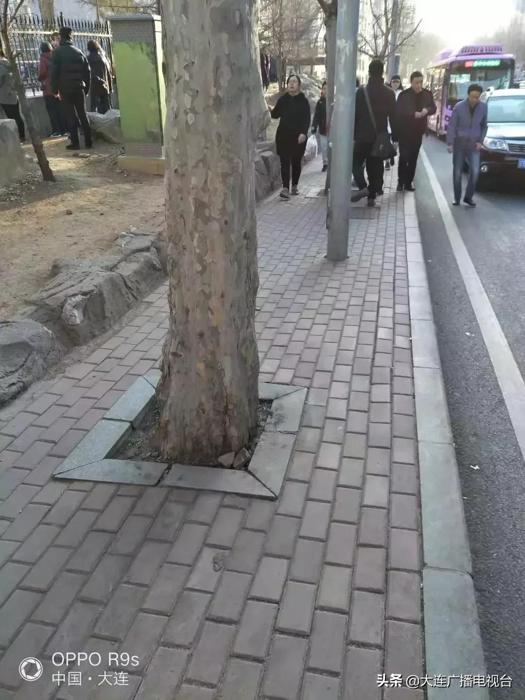 大连家长投诉：小学门前人行道最窄30厘米，太不安全！