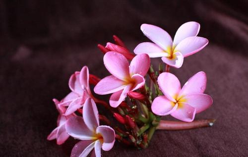 发快手文案句子励志短句霸气,快手励志语录文案素材在哪里找