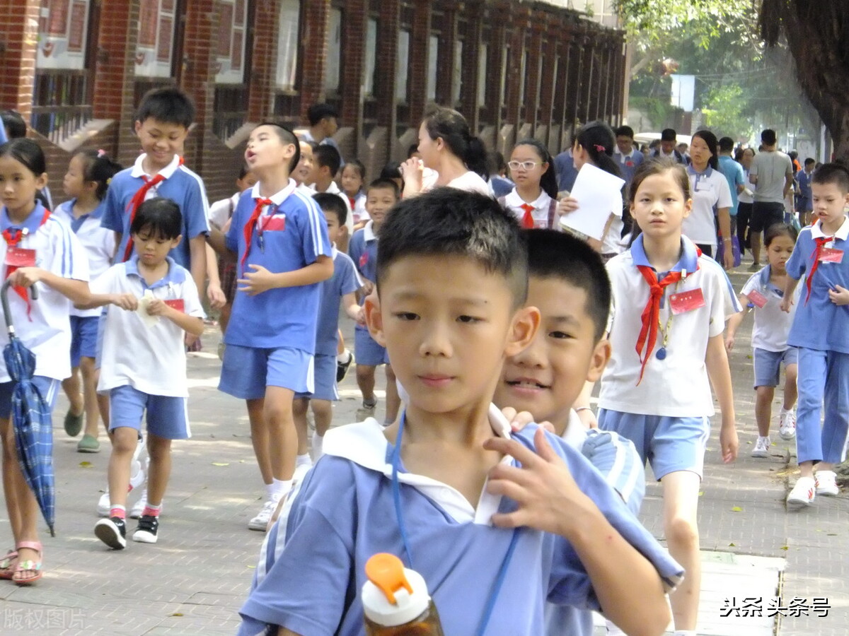 深圳市宝安区小学排名前100名单,宝安区民办小学排名招生电话