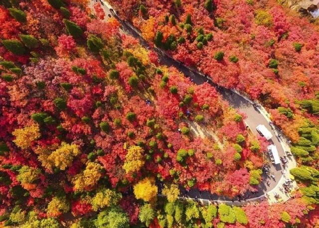 济南旅游景点推荐带孩子玩,济南旅游景点推荐适合带孩子