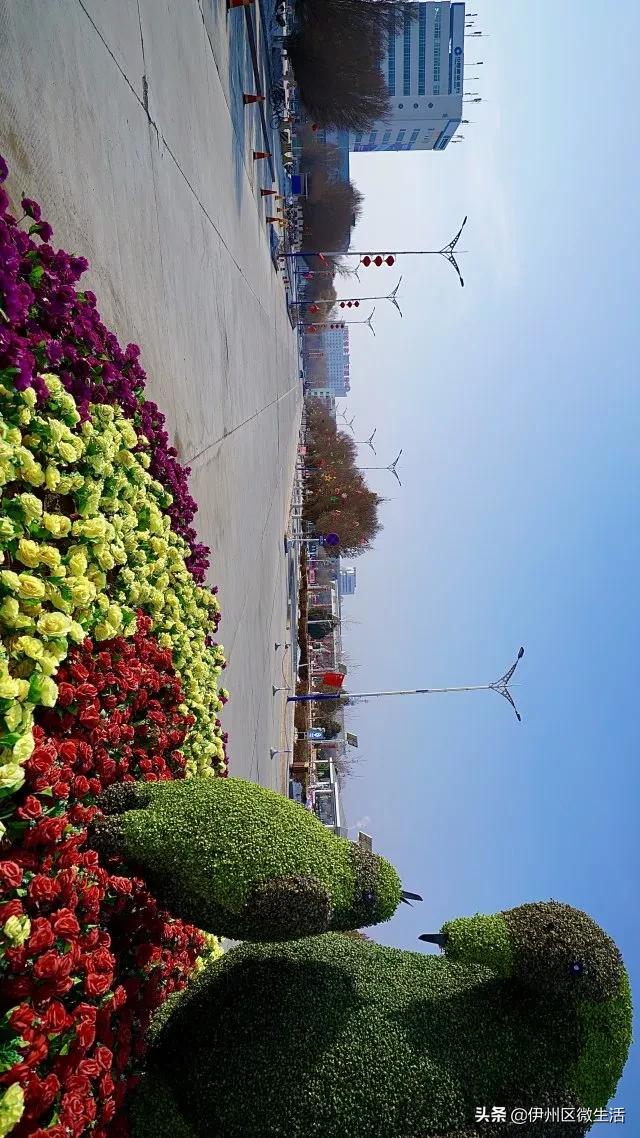 新疆喀什疫情下的真实生活,哈密的疫情情况