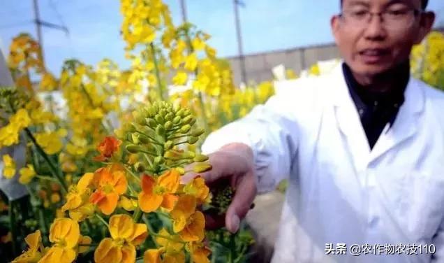 谁说农业不赚钱？！一亩收益60万，试过这3个新玩法的菜农赚嗨了